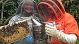 A Bumble with the Bees
