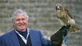 Irish Game Fair at Shane's Castle