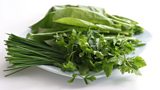 Herbs on 麻豆社 Food