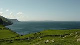 Rathlin Island Rambling