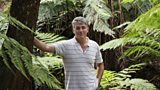 Professor David Lindenmayer