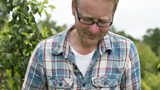 Mark Diacono's Lettuce, pea and mint soup