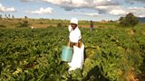 GardenAfrica