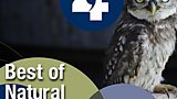 Best of Natural History Radio