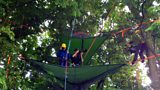Tree climbing