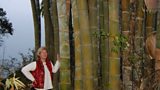 Susanne Lucas with bamboo in Sikkim in India
