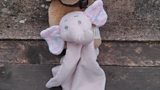 Lost teddy