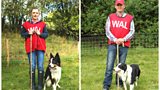 Team Wales