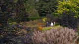 Garden featured