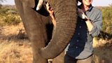 Paul in Africa