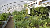 The Welsh Dairy Show, Aquaponics and Slow Food