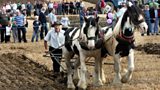 71st Northern Ireland Ploughing Championship