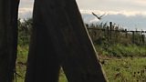 Birdwatching