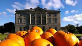 Pumpkins