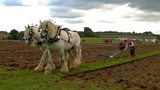 Ploughing match