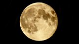 The Moon