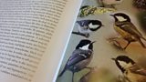 Birds of the ѿýplace
