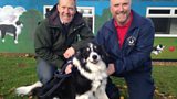 Adam and the Border Collies