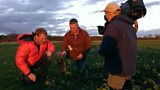 Pesticides under threat