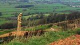 Forest of Bowland art
