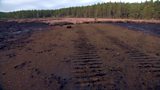 Peatlands
