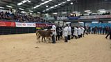 The Winter Fair at 25