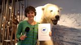 Eleanor becomes a member of The Royal and Ancient Society of Polar Bears in Hammerfest, Norway