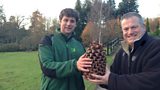 A perfectly popped pinecone