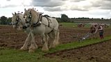 Ploughing match