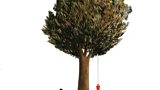 THEATRE - Tree