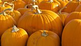 Tony Singh's Spiced Pumpkin Soup