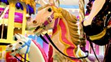 KING OF THE HOBBY HORSE