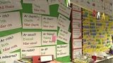 IRISH LANGUAGE