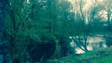 THE HEART OF THE GLENS