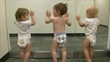 Recycling nappies?