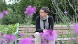 Darren Hayman
