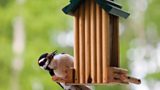 WANT TO GET CLOSER TO NATURE?