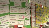 IRISH LANGUAGE