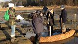 Saltmarsh restoration