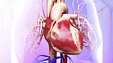 Cardiac arrest in the young