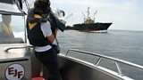 Ending illegal pirate fishing