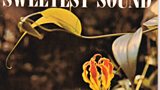 Elsie Bianchi: The Sweetest So...