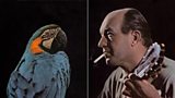 Charlie Byrd: Brazilian Byrd