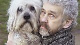 Foreign Dogs