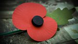 POPPY ROW