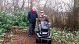 Planting snowdrops
