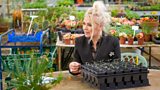 Kim Wilde