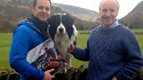 Herdwick portraits