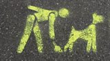 Dog Poo