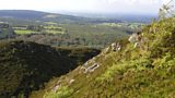Boots and Bogs Walking Festival